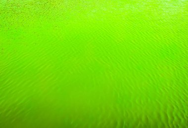 Soyut yeşil su arkaplanının 3 boyutlu görüntülemesi