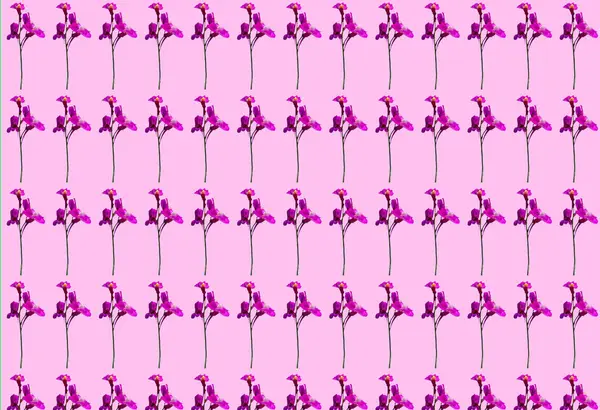 Ilustração Belo Padrão Sem Costura Com Flores Rosa — Fotografia de Stock