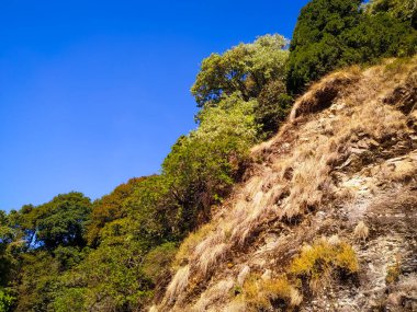 Mavi gökyüzü ile kayanın üzerindeki yeşil ağaçlar