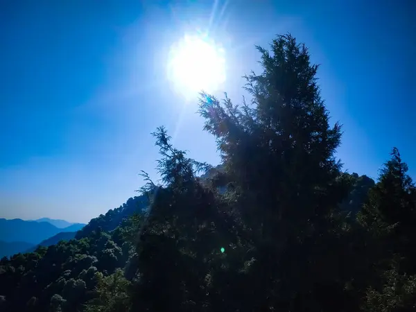 Sebuah Matahari Yang Indah Bersinar Melalui Pohon — Stok Foto