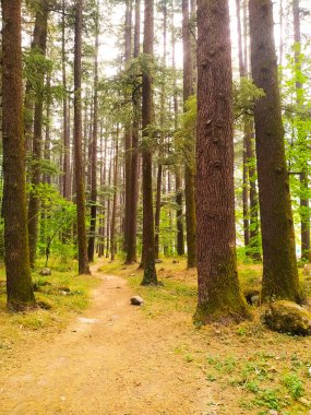 Kalede yürümek için asfaltsız bir yol..