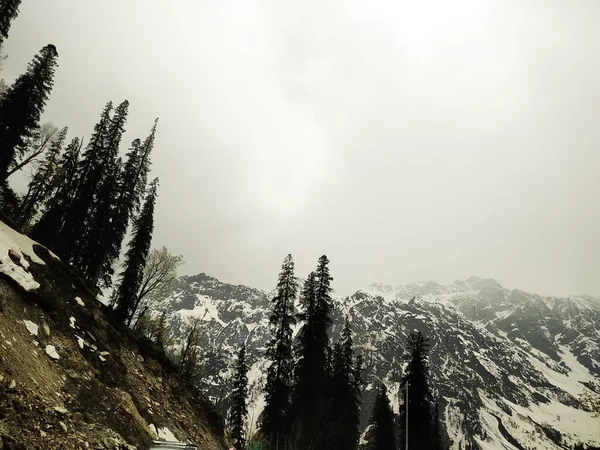 Туманный Снежный Горный Ландшафт Деревьями — стоковое фото