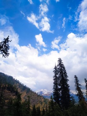 Bulutlar yeşil dağların üzerinde çam ağaçlarıyla