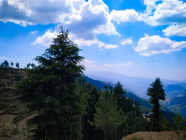 绿山覆盖着春天的风景 山中美丽的夏季风景 — 图库照片