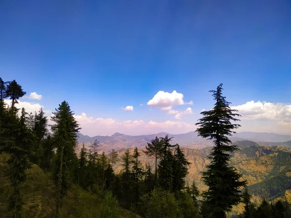 美丽的山和松 春天里的山和松 日落时的松林空中的风景 松树的风景和云彩 — 图库照片
