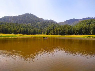 Çam ağaçları ve gökyüzü ile parkta muhteşem bir göl manzarası.