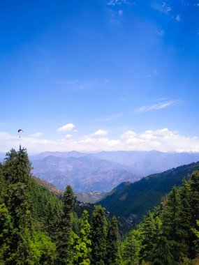 Dağlardaki ağaçlardan güzel bir manzara