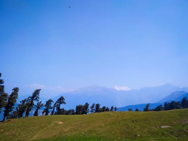 Gökyüzü ve ağaçlarla güzel bir manzara.