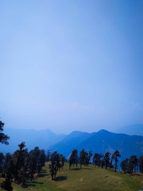 Dağın tepesindeki genç ağaçlar mavi gökyüzüne karşı