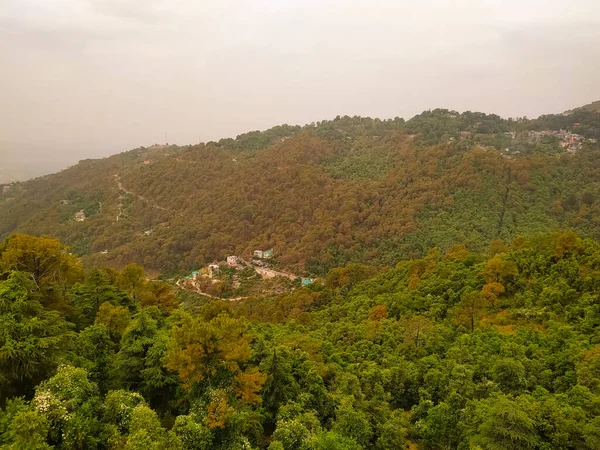 Ağaçların manzarası çok güzel.