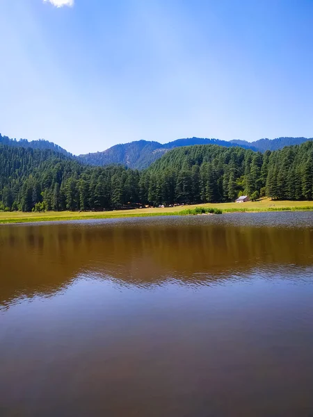 Çam ağaçlarıyla çevrili gölün muhteşem manzarası