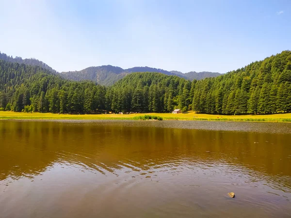Çam ağaçlarıyla çevrili gölün muhteşem manzarası