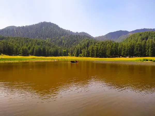 Vista Incrível Lago Parque Com Pinheiros Céu — Fotografia de Stock