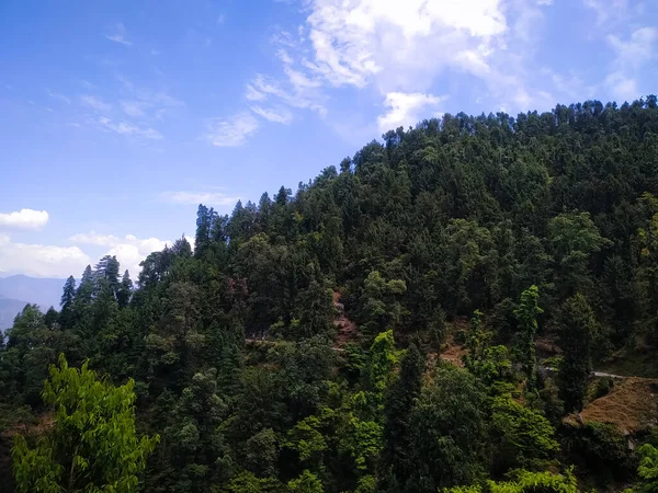 Dağlardaki Güzel Orman Manzarası — Stok fotoğraf