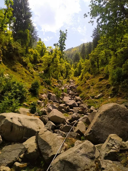 Ormandaki Taş Nehri — Stok fotoğraf