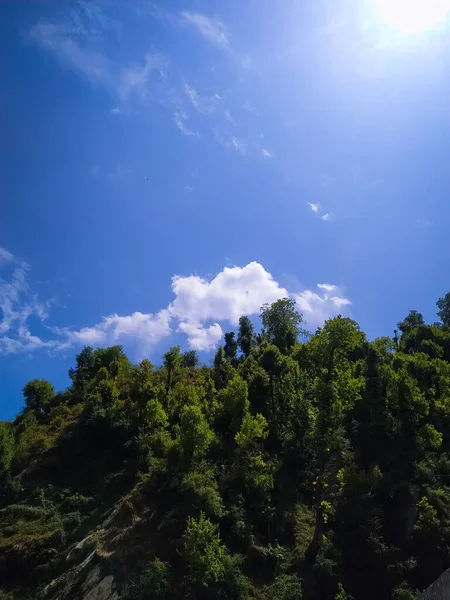 Yeşil ormanın üzerinde güzel bir bulut manzarası