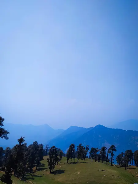 Jovens Árvores Topo Uma Montanha Contra Céu Azul — Fotografia de Stock