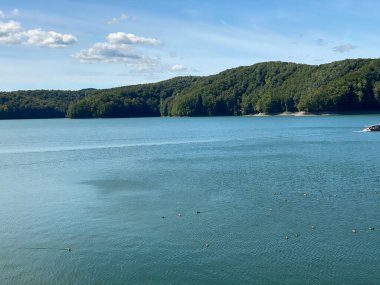Bieszczady Dağları 'nın Dağları' ndaki Solinski Gölü 'ndeki kozalaklı ağaçlarla kaplı kaya kayalıkları.