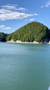 Bieszczady Dağları 'nın Dağları' ndaki Solinski Gölü 'ndeki kozalaklı ağaçlarla kaplı kaya kayalıkları.