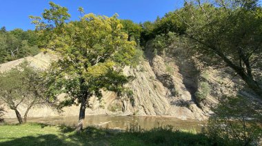 Wislok 'un görülebilir kayası Rudawka Rymanowska yakınlarında Olza duvarı olarak adlandırılıyor.