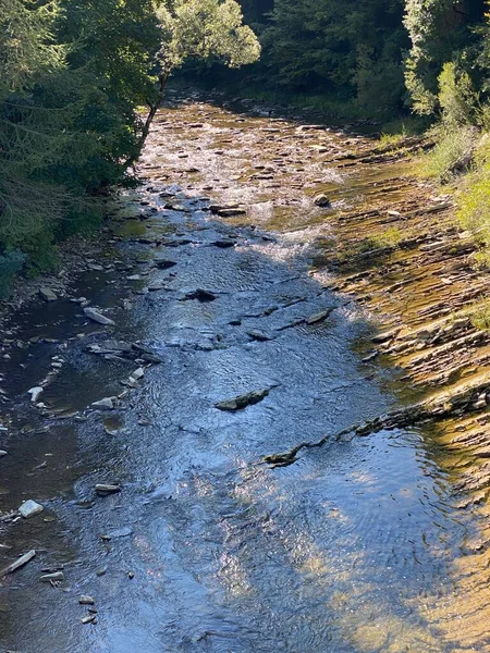 Caudaloso Río Wislok Cerca Rudawka Rymanowska Fondo Pedregoso Rodeado Bosques — Foto de Stock