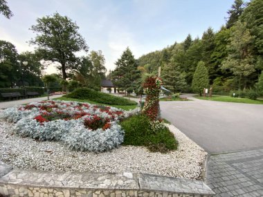 Rymanow - Zdroj Subcarpathian Voyvoda Polonya, 03. 2021. Çiçek yataklarının yanındaki spa parkındaki ahşap maden suyu pompa odası.