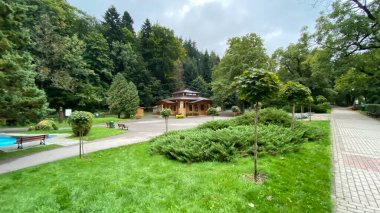 Rymanow - Zdroj Subcarpathian Voyvoda Polonya, 19.2021. Spa parkındaki ahşap maden suyu pompa odası.