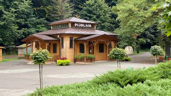 Rymanow Zdroj Subcarpathian Voivodeship Poland 2021 공원에 광천수 로열티 프리 스톡 사진
