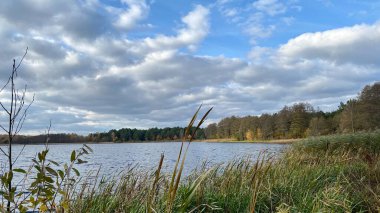 Wlodawa yakınlarındaki Glinki Gölü 'nde mavi bulutlu gökyüzü, kozalaklı ormanlarla çevrili.