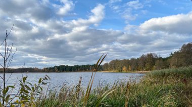 Wlodawa yakınlarındaki Glinki Gölü 'nde mavi bulutlu gökyüzü, kozalaklı ormanlarla çevrili.