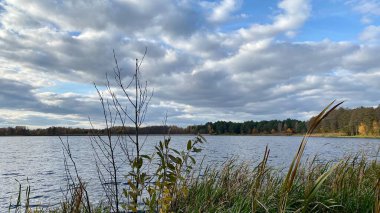 Wlodawa yakınlarındaki Glinki Gölü 'nde mavi bulutlu gökyüzü, kozalaklı ormanlarla çevrili.