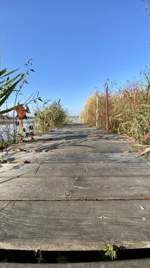 Wlodawa yakınlarındaki Biale Gölü, ahşaptan yapılmış eski bir güverte, mavi gökyüzü, kamışları görebilirsiniz.