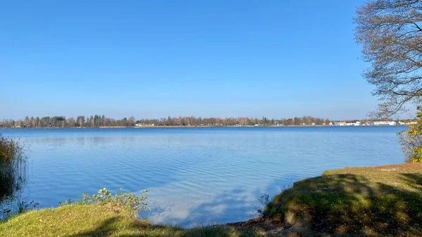 Lake Biale Wlodawa Blue Sky Beach Overgrown Grass You Can — Stock Photo, Image