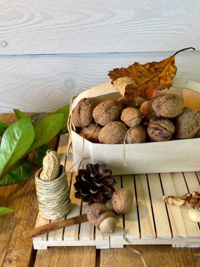 Fındık ve fıstık bir sepetin içinde, meşe ağacının üzerinde duran paletlerin üzerinde. Arka planda görünen yapraklar. Siciana, çam ağacından beyaza boyanmış.