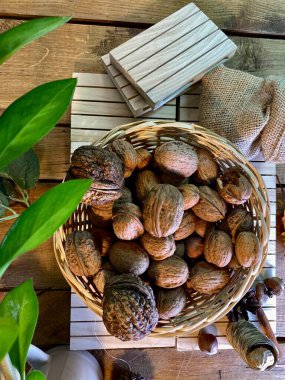 ceviz ve fındık bir sepetin içinde, meşe ağacının üzerinde duran paletlerin üzerinde, zamiakulka yaprakları görünür.