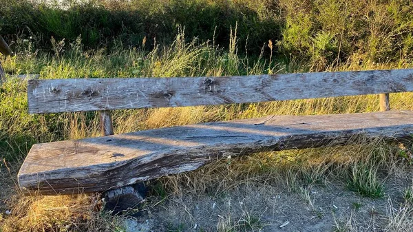 Wooden Bench Very Old Overgrown — Stockfoto