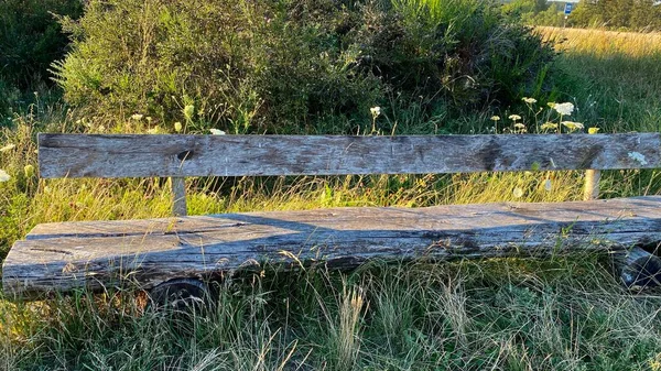 Wooden Bench Very Old Overgrown — Stockfoto