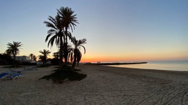 palm trees at sunrise on island of Djerba