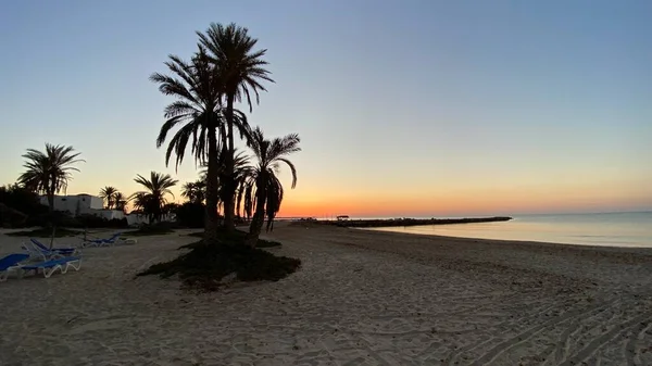 Palm Trees Sunrise Island Djerba — Foto de Stock