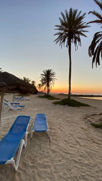 Palm Trees Sunrise Island Djerba — Stockfoto
