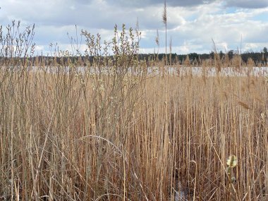 cloudy sky before sunset over lake in spring