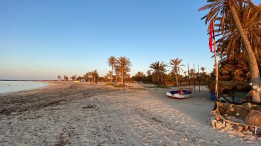 palm trees at sunrise on island of Djerba