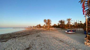 palm trees at sunrise on island of Djerba