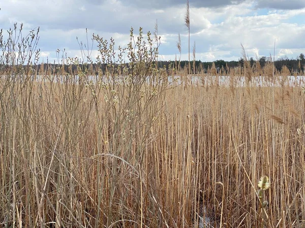 cloudy sky before sunset over lake in spring