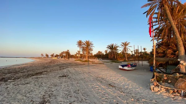 Palm Trees Sunrise Island Djerba — Stock fotografie