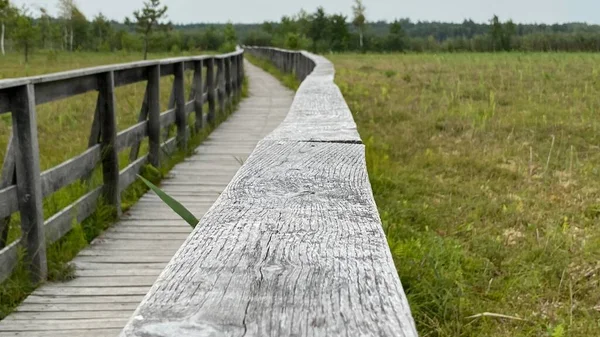 Scenic Route Footbridge Made Wood Secured Safety Railings — Fotografia de Stock