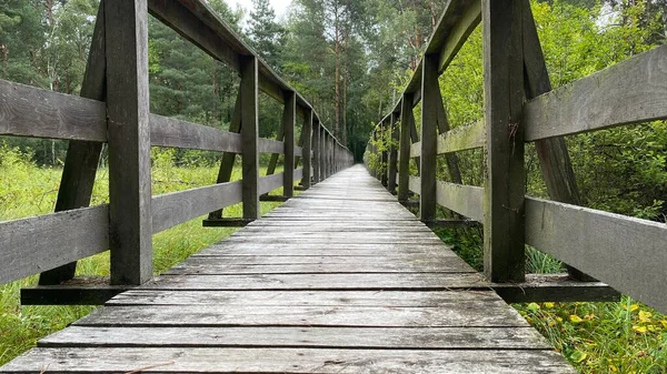 Scenic Route Footbridge Made Wood Secured Safety Railings — 스톡 사진