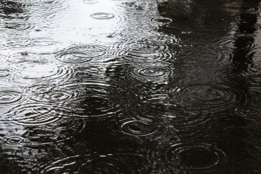 Asfalt üzerinde yağmur damlalarıyla su birikintisi