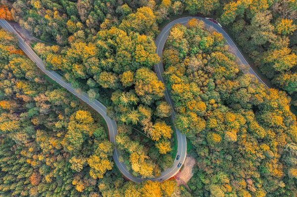Вид сверху на осенний лес с двойным изгибом и водительскими автомобилями. — стоковое фото