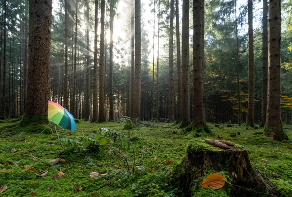 Konzeptfoto für die farbenfrohe Kraft der Herbstsaison mit Regenschirm und ausgestanztem Blatt. — Stockfoto